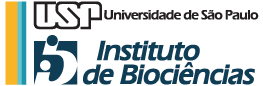 Logo IB Transparente